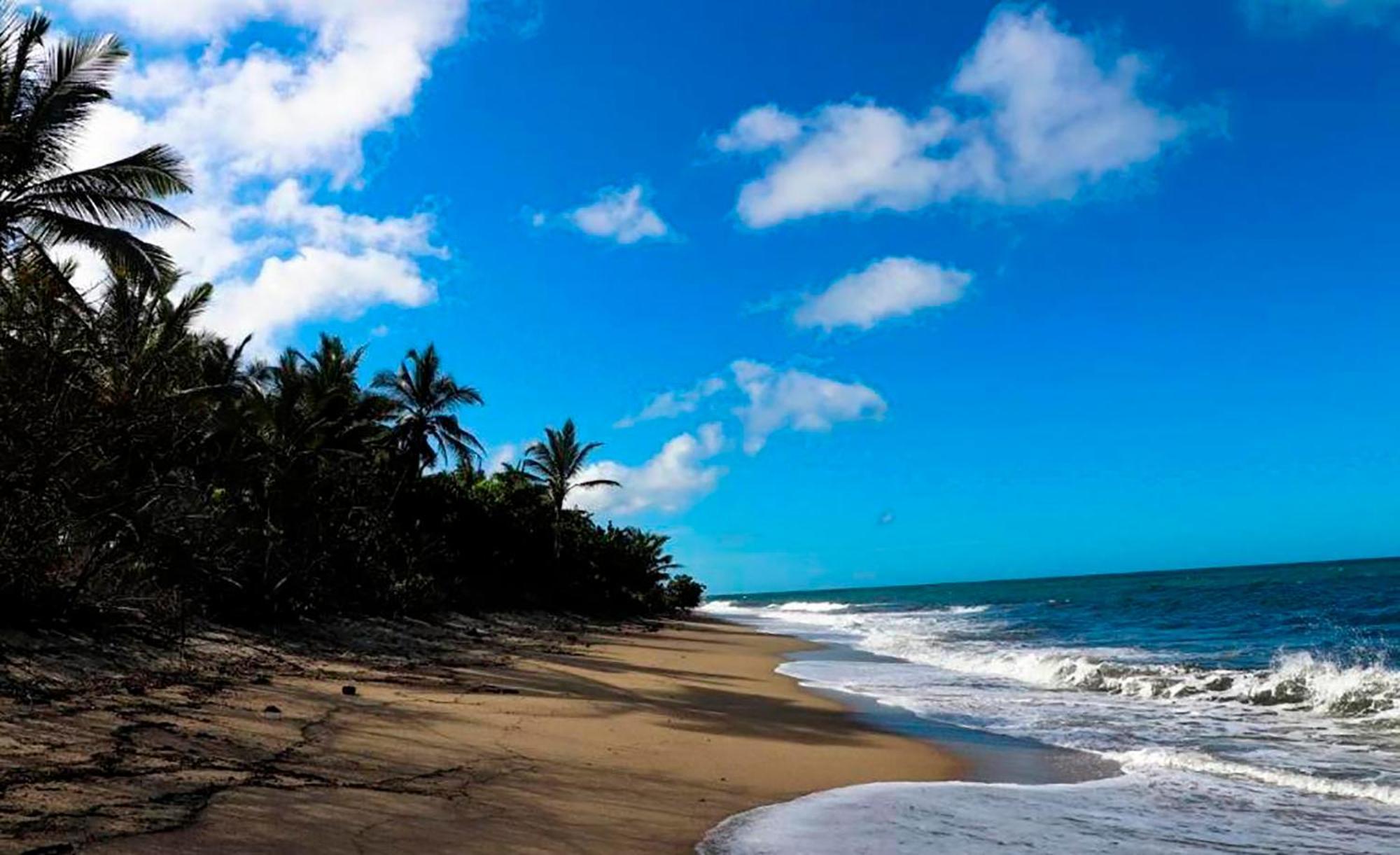 Hostal Mirador Dentro Del Parque Tayrona Zaino Kültér fotó