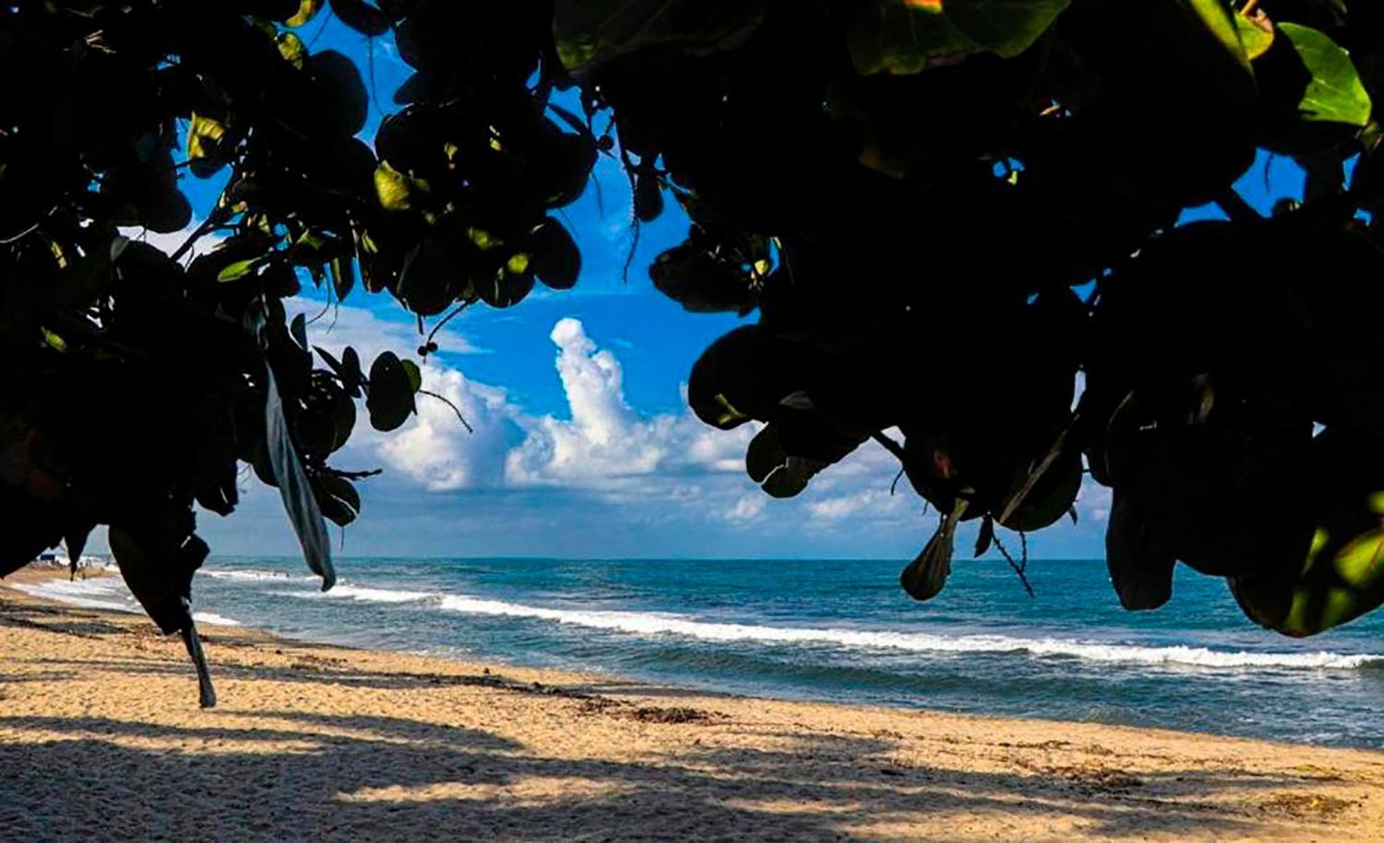Hostal Mirador Dentro Del Parque Tayrona Zaino Kültér fotó