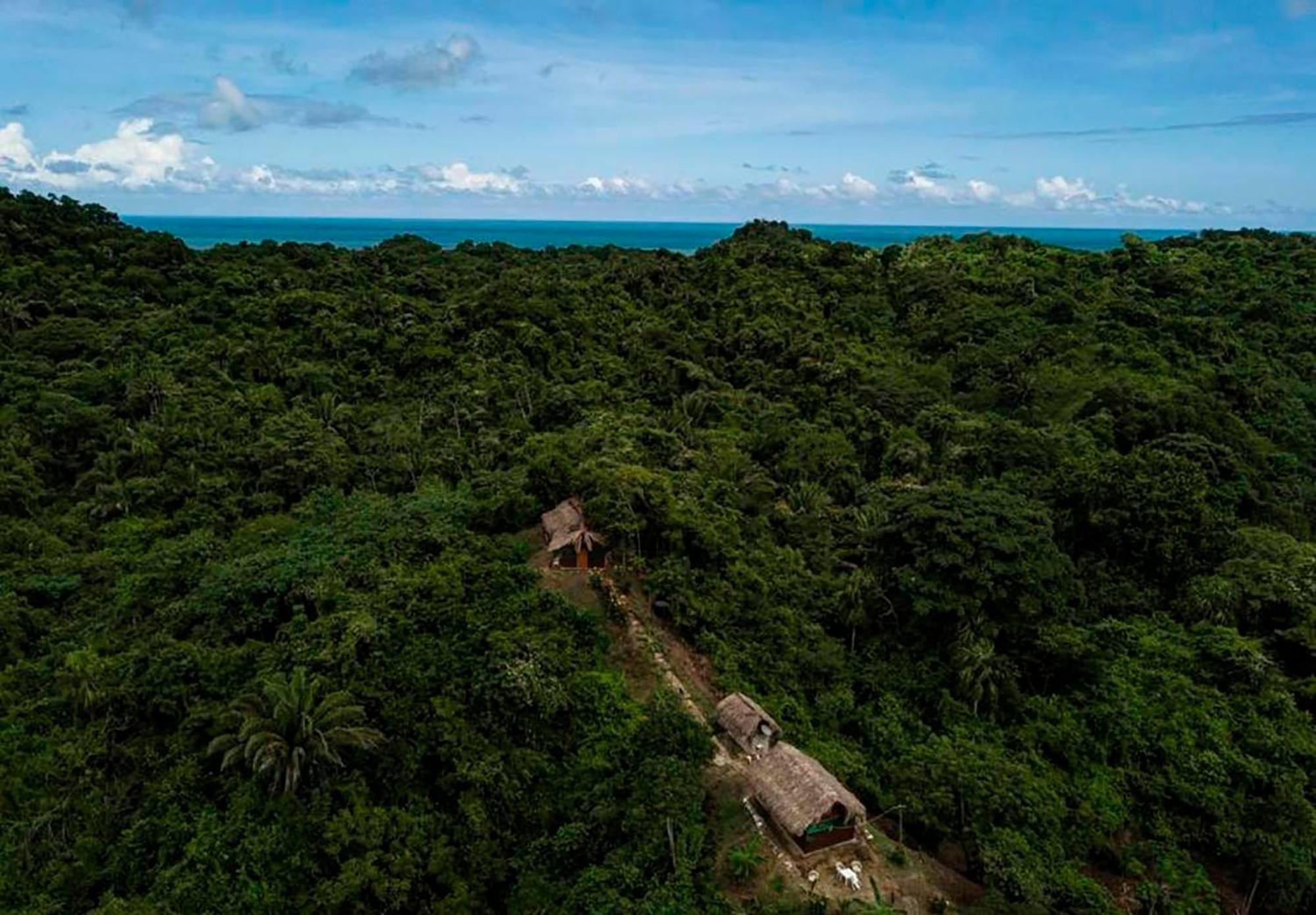 Hostal Mirador Dentro Del Parque Tayrona Zaino Kültér fotó