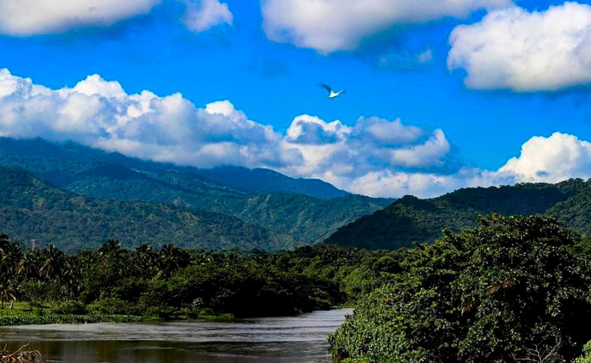 Hostal Mirador Dentro Del Parque Tayrona Zaino Kültér fotó