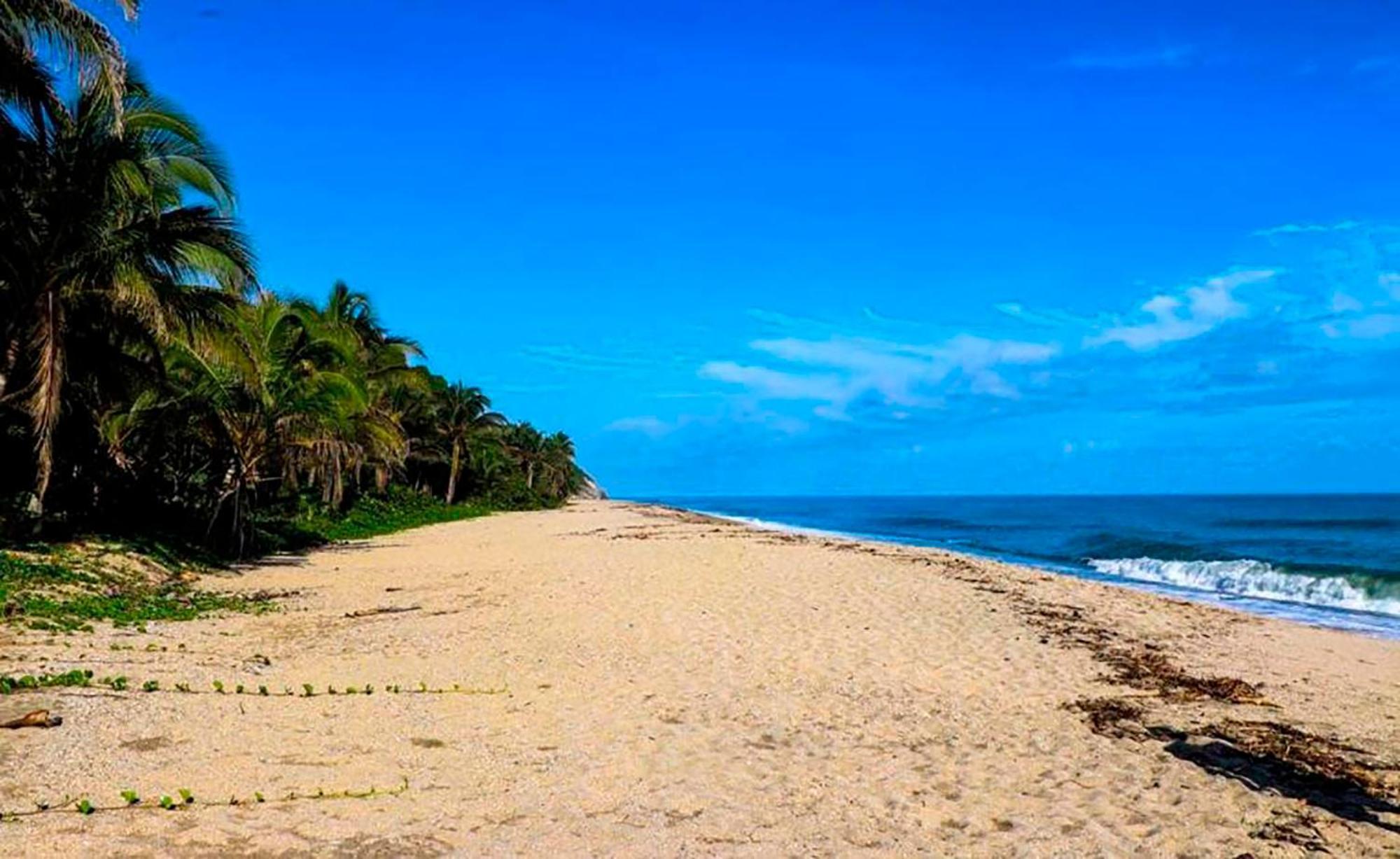 Hostal Mirador Dentro Del Parque Tayrona Zaino Kültér fotó