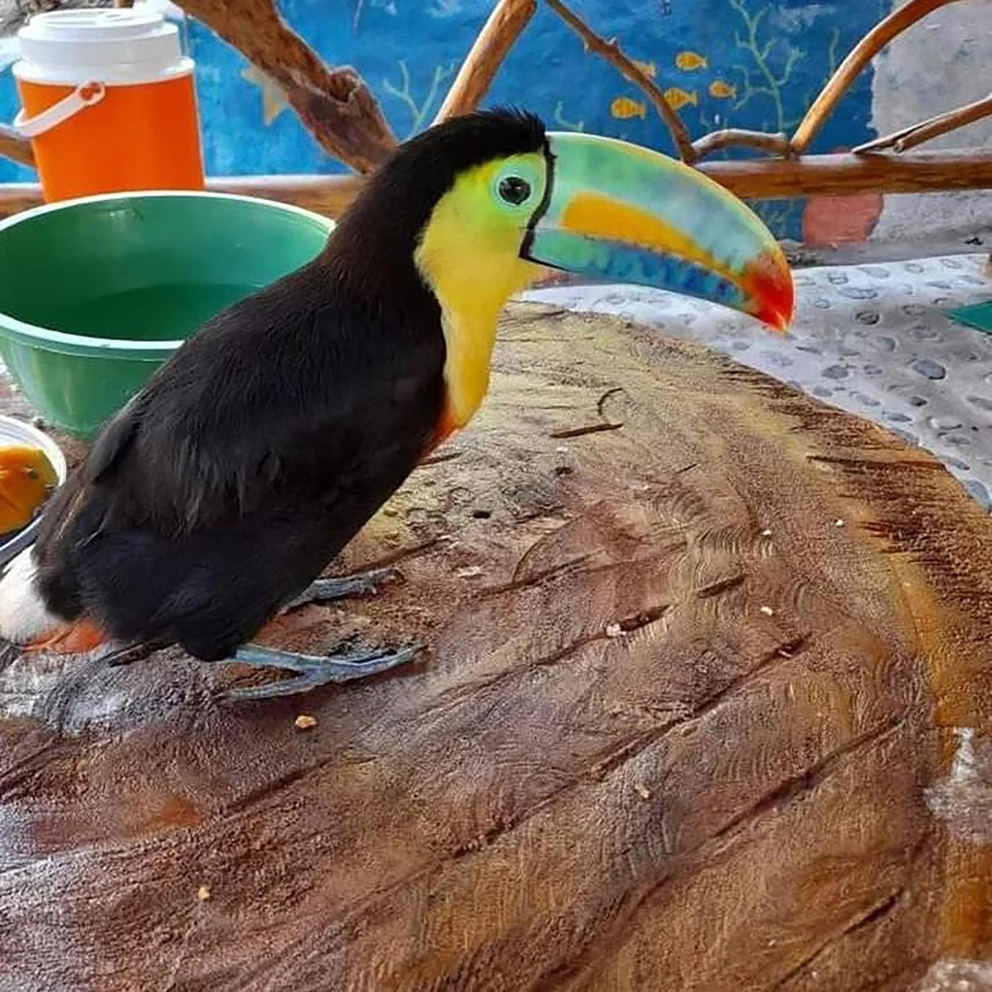 Hostal Mirador Dentro Del Parque Tayrona Zaino Kültér fotó