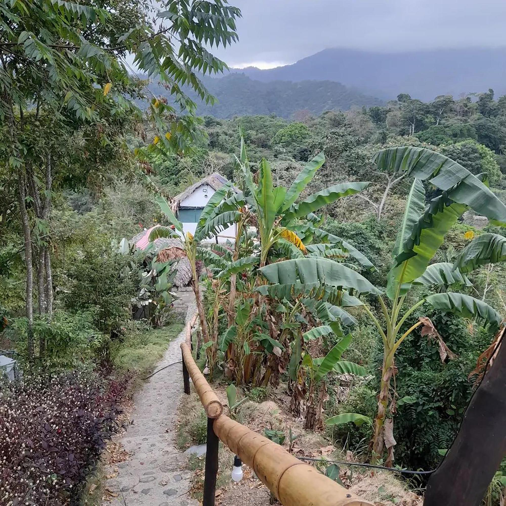 Hostal Mirador Dentro Del Parque Tayrona Zaino Kültér fotó