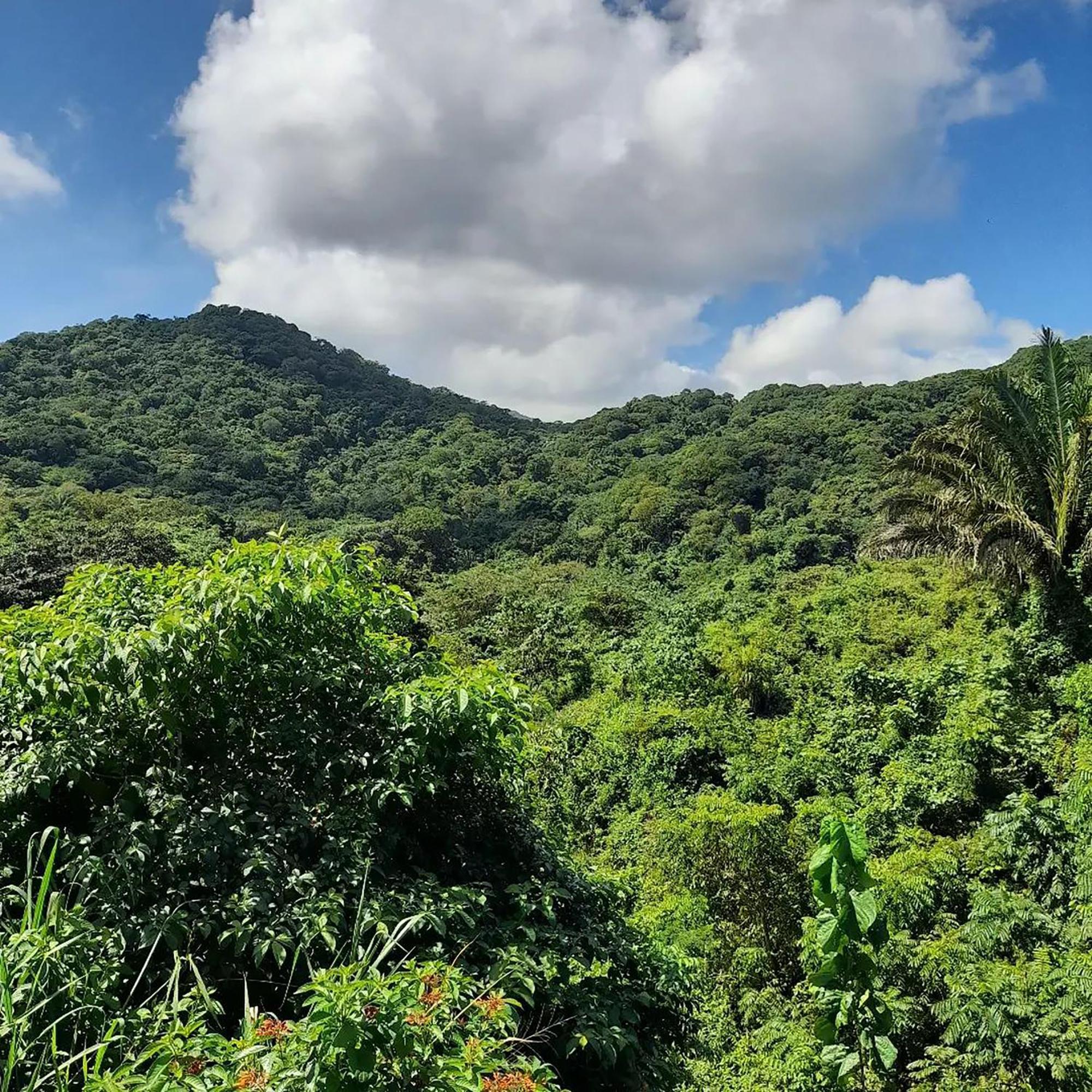 Hostal Mirador Dentro Del Parque Tayrona Zaino Kültér fotó