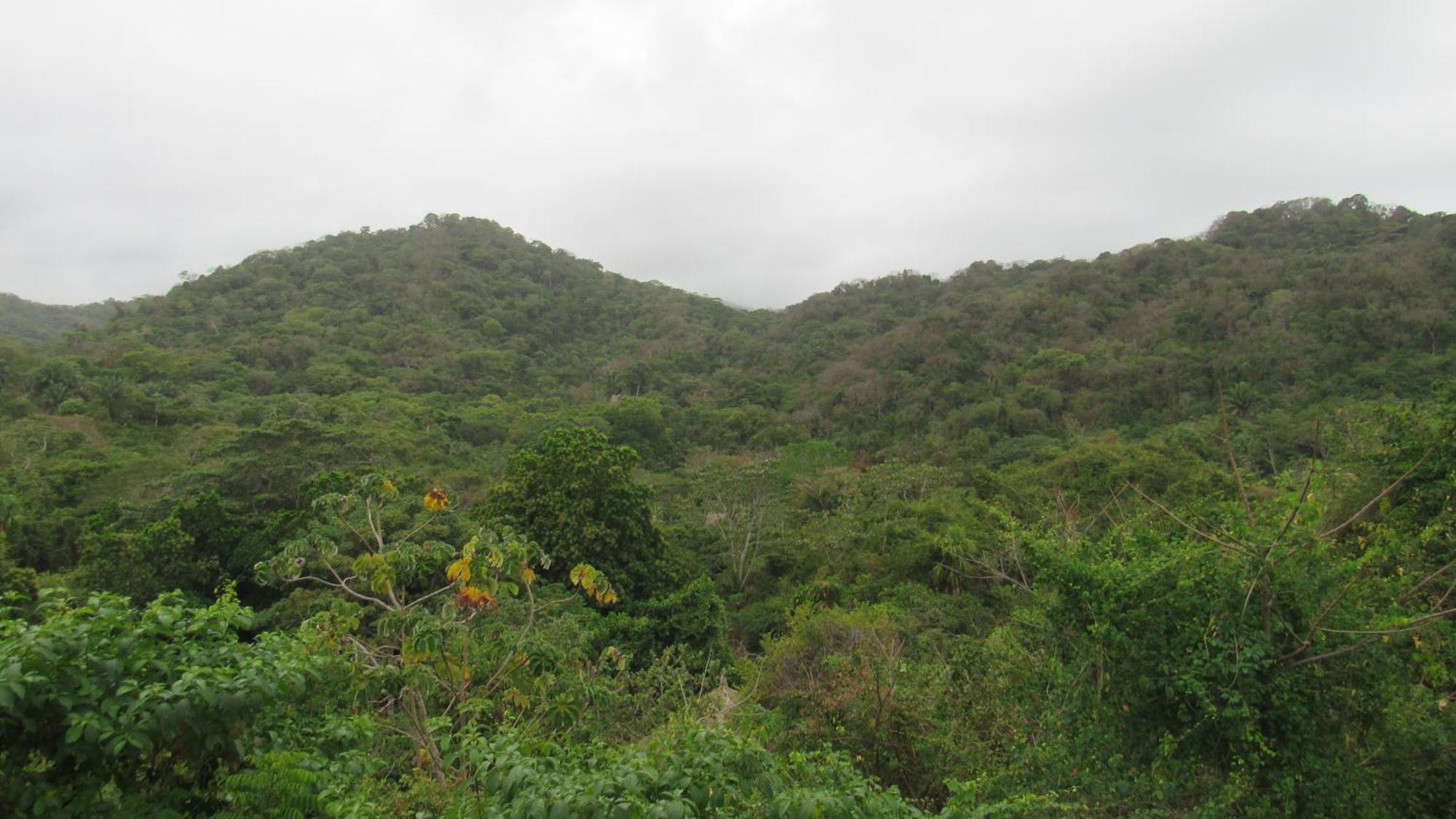 Hostal Mirador Dentro Del Parque Tayrona Zaino Kültér fotó