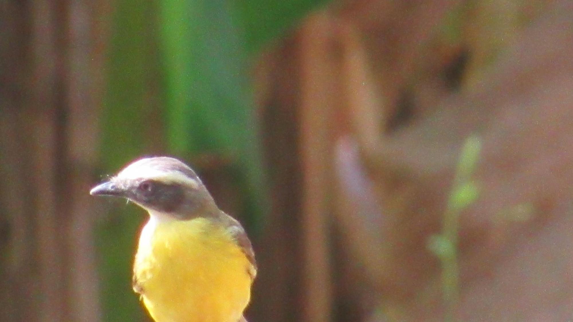 Hostal Mirador Dentro Del Parque Tayrona Zaino Kültér fotó