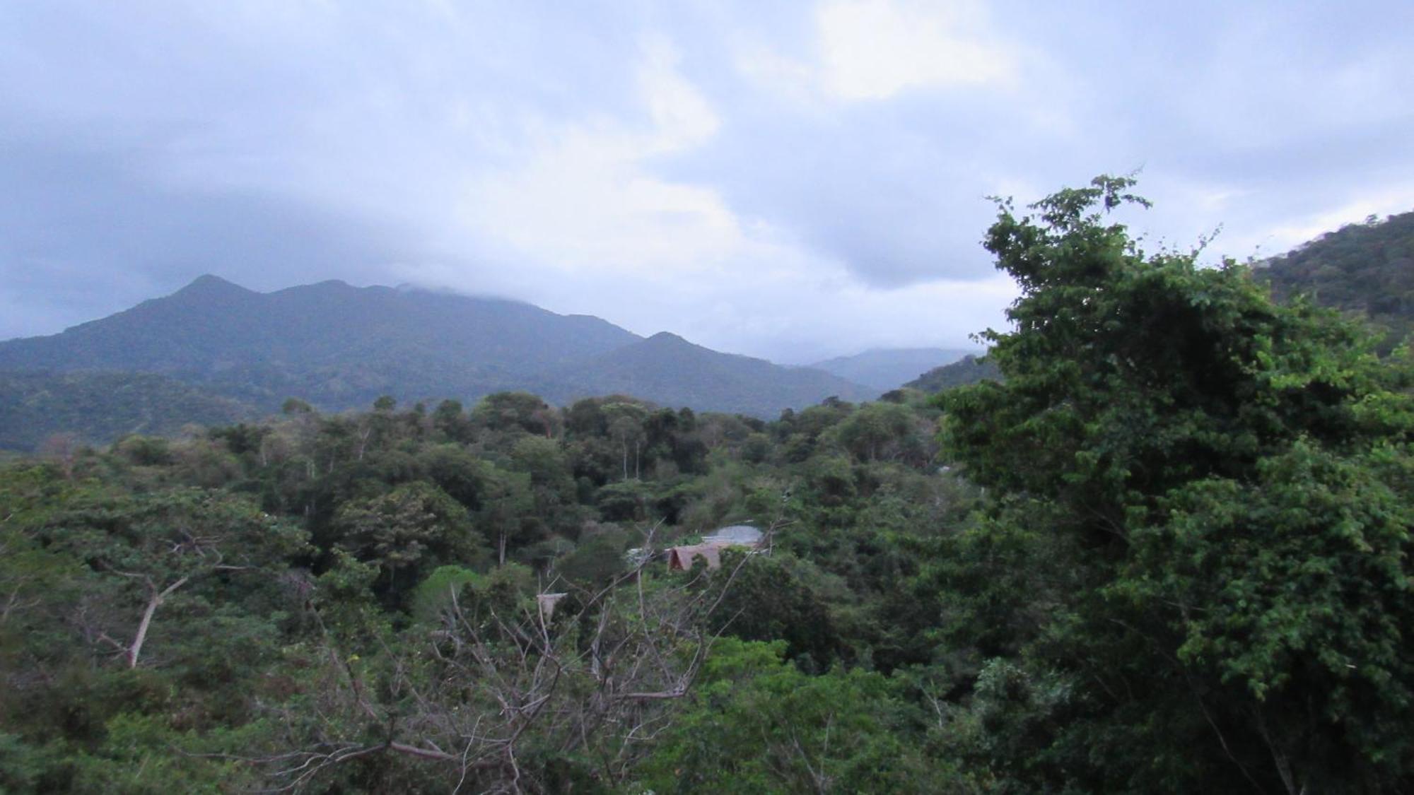 Hostal Mirador Dentro Del Parque Tayrona Zaino Kültér fotó